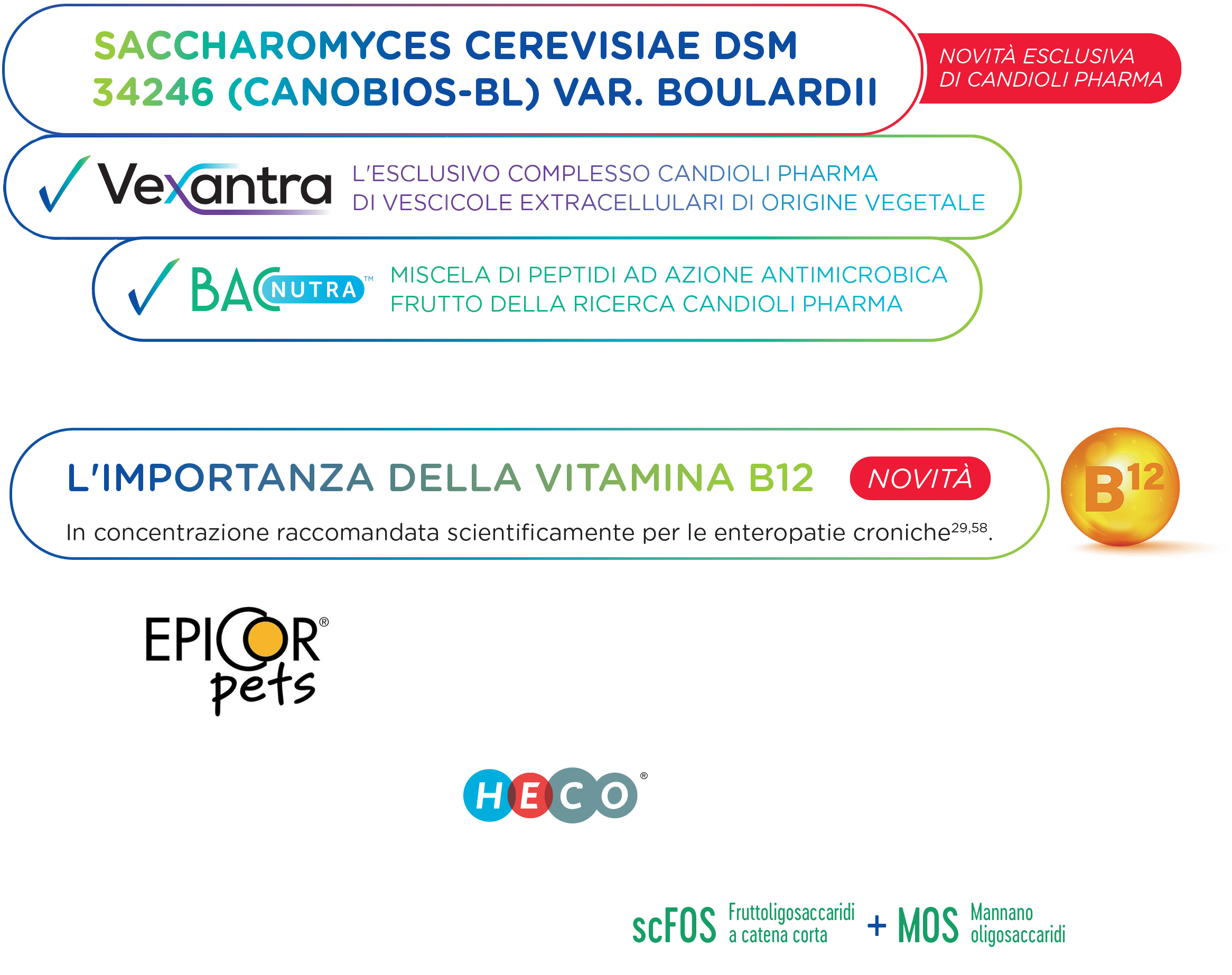 florentero_complex_elementi