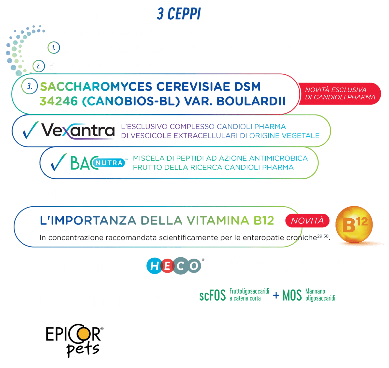 elementi-florentero-complex