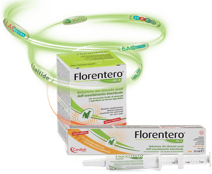 florentero_act-pack
