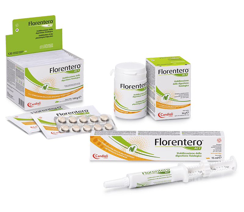 Florentero_ACT_pack2023
